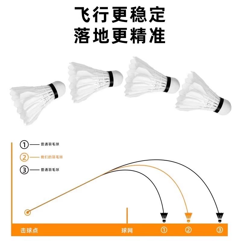 Lion Badminton Federbälle aus  – Feather Shuttlecock Bewertung und Preis