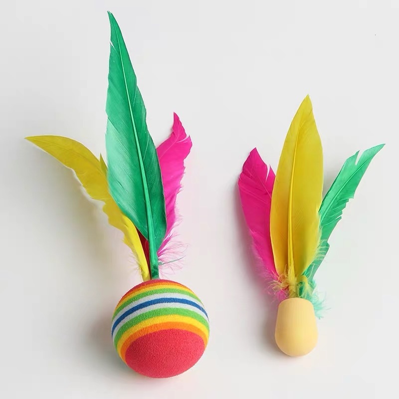 5-teiliges Jazzminton Outdoor- – Badminton Shuttlecock Bewertung und Preis