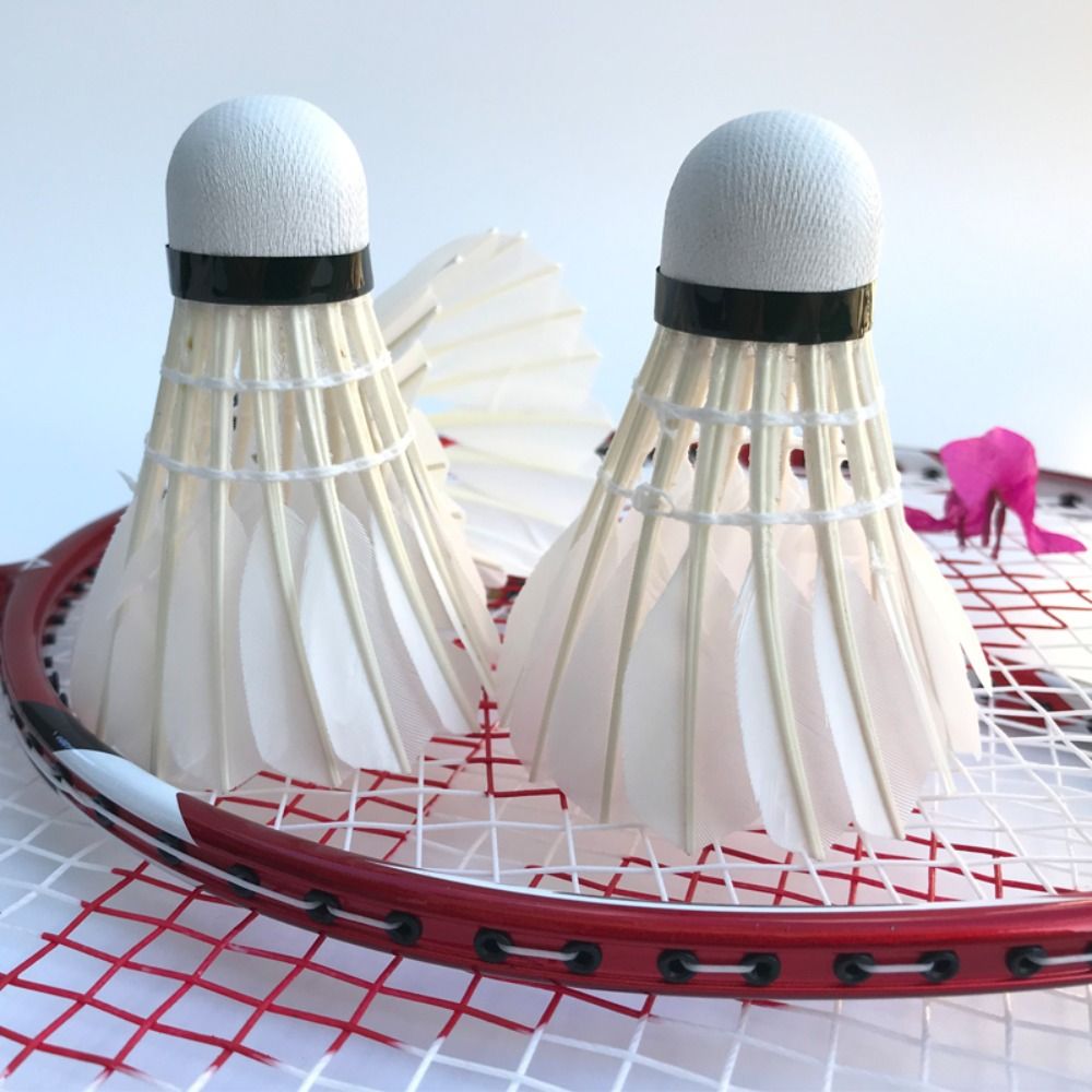 3/6/12Pcs Neue Weiß Badminton  – Feather Shuttlecock Bewertung und Preis